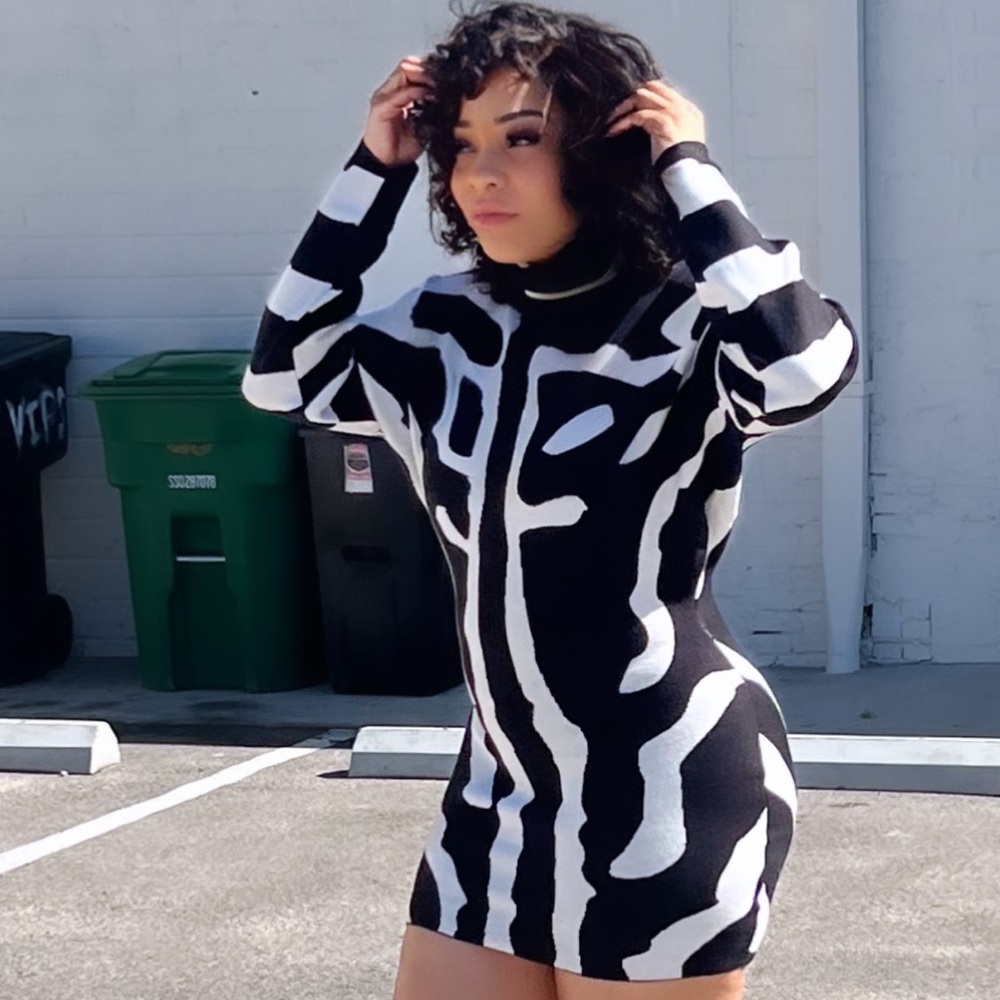 Small, Medium, Large, Black And White Zebra Print Sweater Dress.